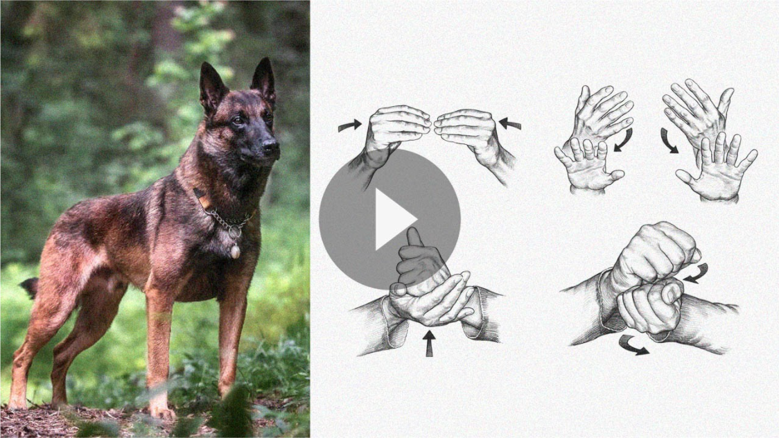 k9ti advertorials